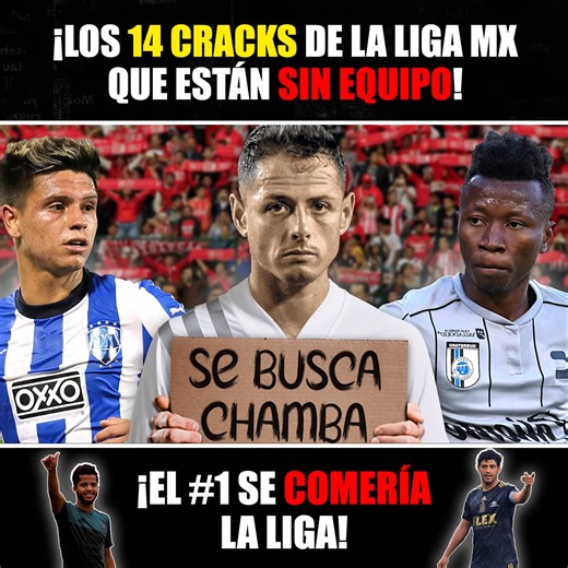 3.2M views · 10K reactions | Los 15 "CRACKS" de la LIGA MX que están SIN EQUIPO樂✖️ ¡El #1 SE COMERÍA la liga! #futbol #LigaMX #AgentesLibres | La Gambeta México | Facebook