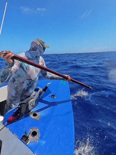 Reel in the Mahi: Persistence in Fishing