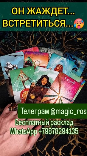 Магия Таро on Instagram: "Ставьте лайк ❤️ для энерообмена 🌹 Подписывайтесь на мой канал и смотрите каждый день новые таро расклады ✨ Расклад общий и может проиграться не у всех ☝️ Для заказа личного расклада пишите на WhatsApp +79878294135 📩 или в телеграм t.me/magic_ros 📧 #приворот #гадание #таролог #раскладонлайн #маг"