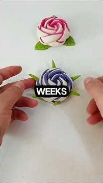 My SISTER demanded I give her my SAVINGS. I said no, bought a one-way ticket abroad..