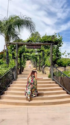 Three Wineries Curated for L.A. Friends #temecula