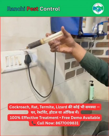 Effective German Cockroach Gel Treatment Service — Ranchi Pest Control 荒 #RanchiPestControl #pestcontrol | Ranchi Pest Control | Facebook