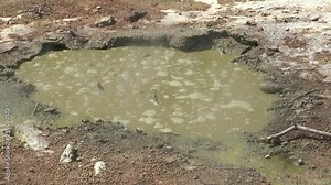 Active fumaroles in New Zealand.