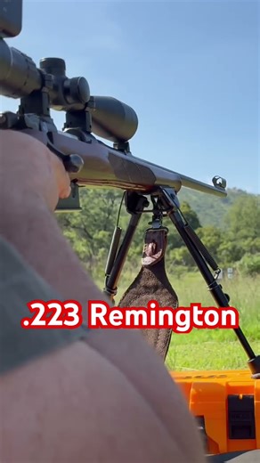 223 Remington on the Range #223remington #shorts #short #shortvideo #shortsfeed #shortsvideo
