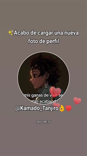 Videos de Ina Minnie (@tokito_muichiro_origina0) con “Fashion (SLOWED REVERB) - LIL GLOCK 420”