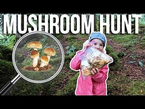 Family Foraging Fun: Teaching the Kids how to Hunt Edible Mushrooms in Alaska | Kilcher Homestead