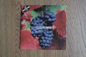 INXS - Beautiful Girl