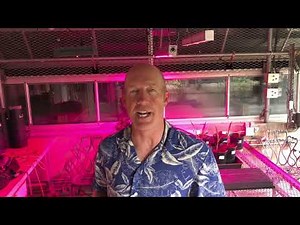 Using a spectrometer to measure light quality and optimize growth in plants