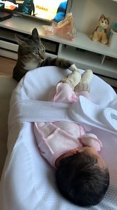3.2M views · 158K reactions | First time the cat meets the baby #cats #baby #wholesome #cute #parenting #parents | Dadsnet | Facebook