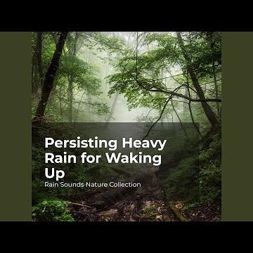 Birds Tweet as it Rains