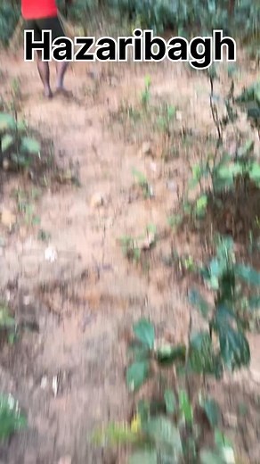 Bahubali 3 // @basukhatri_official . . . . . . . . . . . . . . . . . . . . #Bahubali #reelvideos #reelviral #comedy #meme #viral #explorepage #india #trending #viralvideo #funnymemes #comedy #Hazaribagh #mojmsati | Basu Khatri