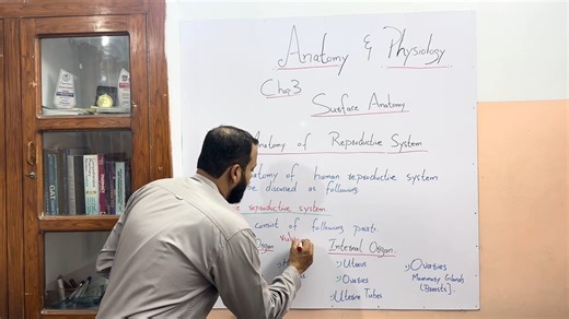 The female reproductive system consists of internal and external organs that work together for reproduction, hormone production, and menstrual regulation. Key structures include the ovaries, fallopian tubes, uterus, cervix, and vagina, each with specific roles in egg production, fertilization, and fetal development. Understanding this system is essential for learning about human biology, health, and reproductive processes. #HumanAnatomy #FemaleReproductiveSystem #Biology #AnatomyStudy #Reproduct