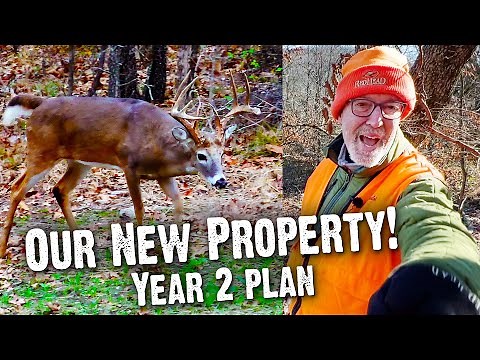 Our New Property! Creating the Perfect Deer Hunting Habitat - The Proving Grounds 2