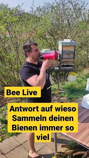 Geheimtipp genau Anweisungen an die Mitarbeiter Imkern wie da Jupp Imker wie Profis