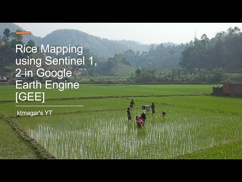 Rice Mapping using Sentinel 1, 2 in Earth Engine [GEE]