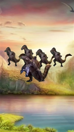 tennisballbird su TikTok