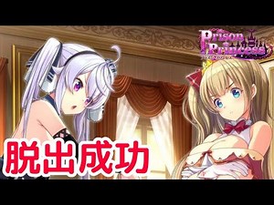 【ネタバレ注意】#6 楽しかった魔王城からの脱出「PrisonPrincess（プリズンプリンセス）」【Switch】