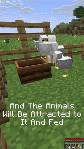 Animal Feeding Trough - Mod Review