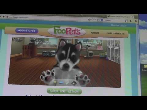 Foopets Guide- Adopting your first pet