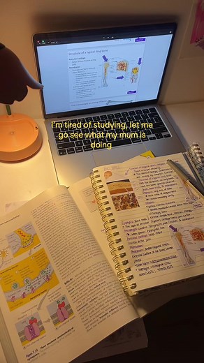 Tired of Studying? Quick Breaks to Check on Family