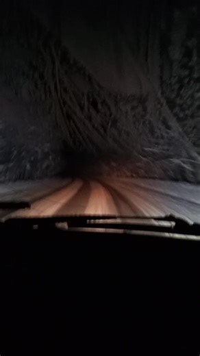 dinan1993 (@dinan1993)’s videos with original sound - The_cars_story