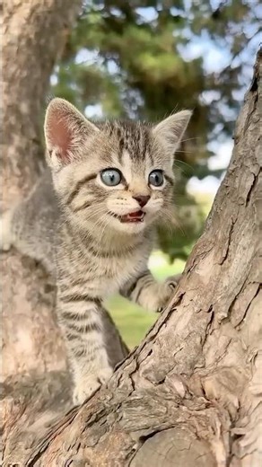 Introducing the "VitaWear SmartBand," a next- generation wearable gadget🎉P3754@junya1gou