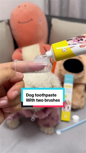Gingivitis & Tartar Prevention — Brush Your Dog's Teeth Regularly!#dogsoftiktok #fyp #dogteeth #dogs #dogmom