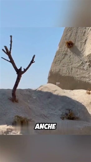 Il vero segreto dietro le scene d’azione di Hollywood 😱🔥#shorts