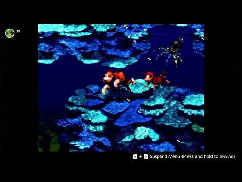 Donkey Kong Country: Croctopus Chase