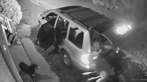 CAUGHT ON CAMERA: Dog beaten with baseball bat and found living in filth; suspect walks free