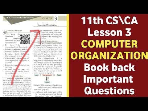 11th CS/CA Lesson 3 | Computer Oraganization| Book back Important Questions and answers