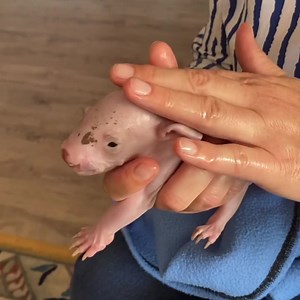 25K views · 2.5K reactions | When you have a pinkie in care you have...