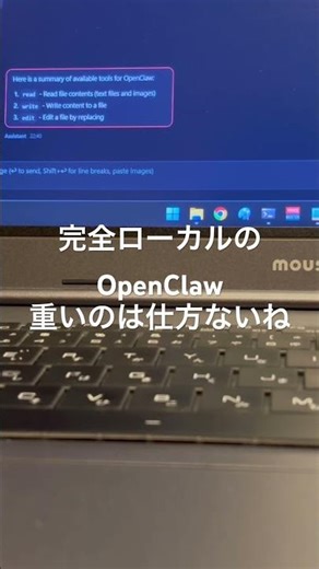 完全ローカルでOpenClawを実装したVTuber #OpenClaw #ローカル