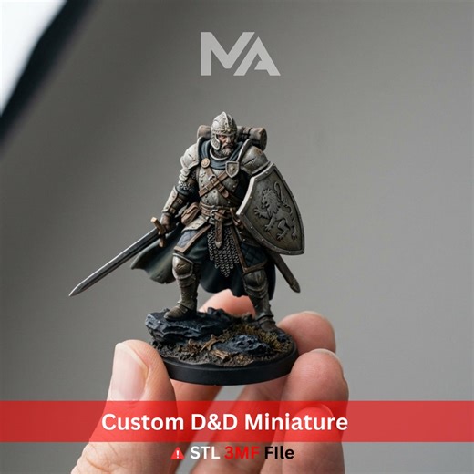 Custom D&D Miniature | Personalized RPG Character STL File (digital Download) - Etsy