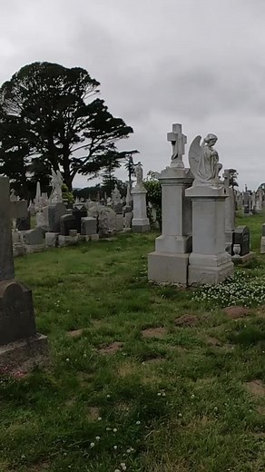 Holy Cross Colma California. #cemetery #cemeteryphotography #grave #graveyards #shots #necropolis #cemeteries #gothic #taphophile #project #gravestone #cemeterywandering #cemeterylovers #death #dead #photography #graveyardphotography #affair #fanatics #tombstone #nation #life #graves #dark #art #taphophilia #bhfyp #urbex #urbanexploration | Crypt Door