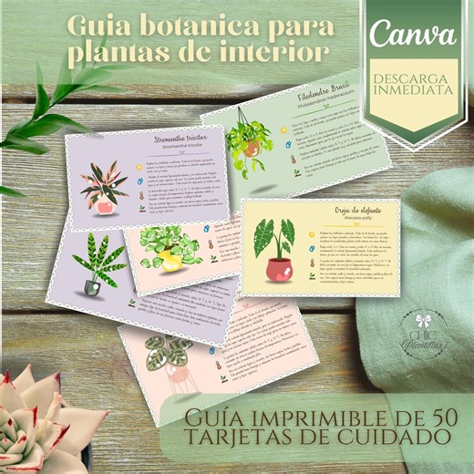 Plant Care Cards Template | Printable Plant Guide | Editable Canva | Digital Download - Etsy