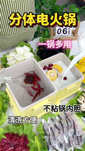 巴慕斯（Bamousse）电煮锅多功能蒸煮一体小型家用宿舍双胆电饭煲电煮锅电锅 【5升】双胆+独立控温 +2000W