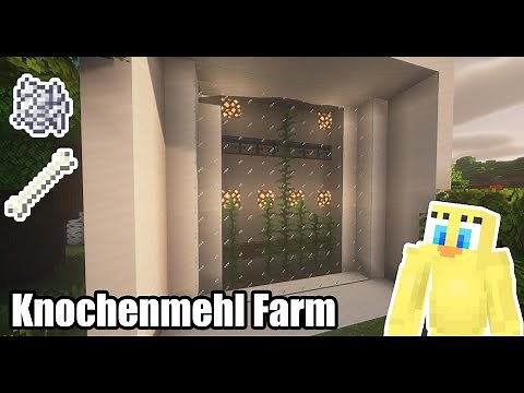 Minecraft: Automatische Knochenmehl Farm bauen (Tutorial 1.19)
