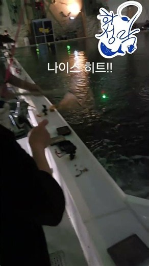 힘짱 돗돔 #낚시