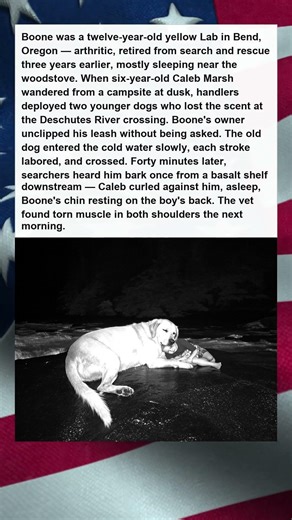 Arthritic Lab Swims River for Lost Boy