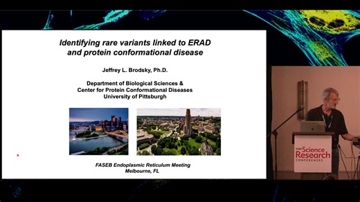 Identifying rare variants linked to ERAD and protein conformational disease | FASEB Conferences On-Demand