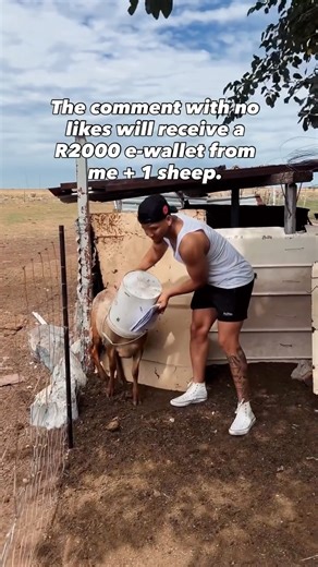 Jason Noah | May the best win.🙂‍↕️ | Instagram