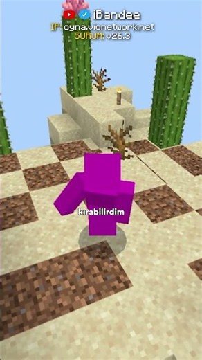 SKYBLOCK SPEEDRUN'I!?💛💎