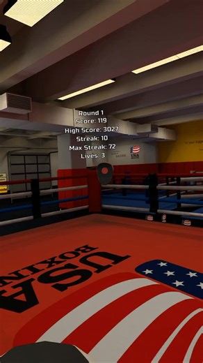 Golden Gloves VR on Instagram: "USA Boxing Gym! 🥊🥽🥇"