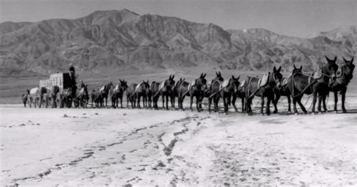 Borax mining, 20 Mule Team history featured in Bakersfield