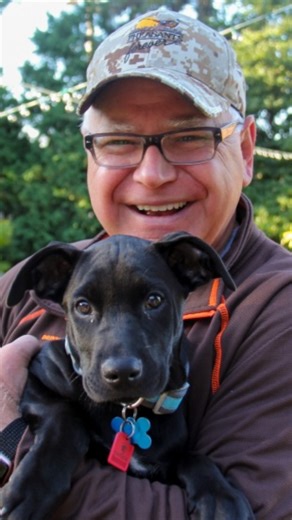 JD Vance and Tim Walz may be running with different political parties but they can both agree on one thing: They love their dogs! Meet Scout and Atlas. | USA TODAY Video