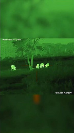 The Cronus ATS Experience - Short