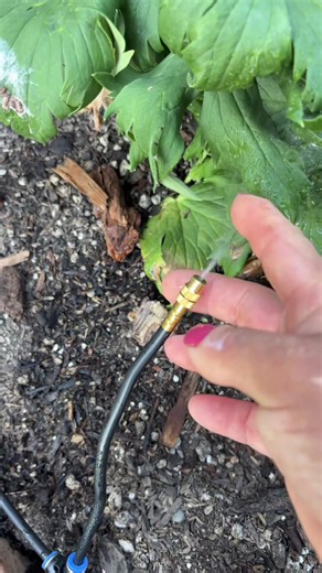 Sistema de riego o regadío para jardín para mejor control y ahorro de agua. #tiktokshopcreatorpicks #gardeninghacks #gardenhose #manguera #riego