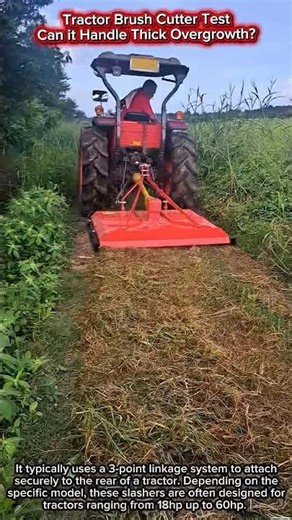 Tractor Brush Cutter Test | Can it Handle Thick Overgrowth?