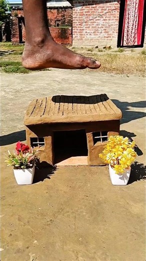 amazing soil house 🏠#amazing #soil #house #trending #shorts